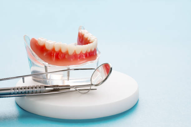 Best Periodontal (Gum) Disease Treatment  in Lake Morton Berrydale, WA